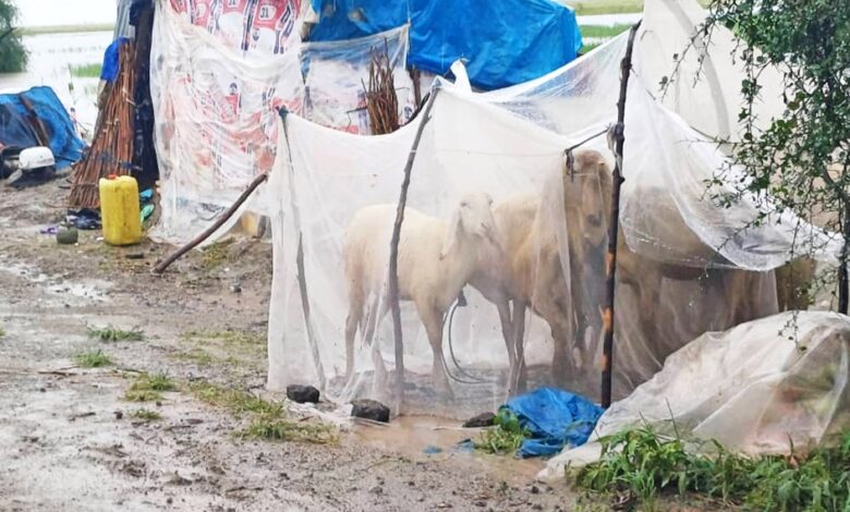 Inondations dans l'Extrême-Nord : Le Logone-et-Chari dans l’attente des secours