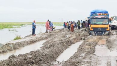 Mora-Dabanga-Kousseri : 200 kilomètres de calvaire en 07 jours